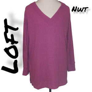 LOFT Women Purple Polyester Blend V-Neck Pullover Sweater Size Medium